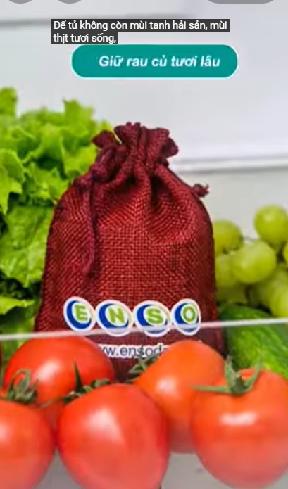 Khử mùi tủ lạnh có ENSO