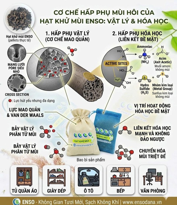 THE ADSORPTION MECHANISM OF ENSO DEODORIZING GRANULES